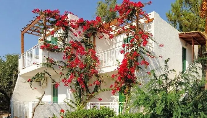 σαραντάρι 3*