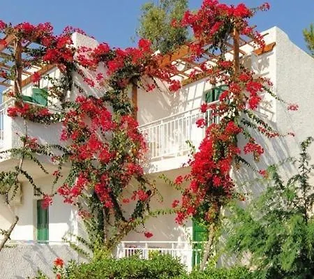 σαραντάρι 3*